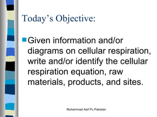 Today’s Objective: ,[object Object],Muhammad Asif Pu Pakistan 