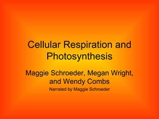 Cellular Respiration and Photosynthesis Maggie Schroeder, Megan Wright, and Wendy Combs Narrated by Maggie Schroeder 