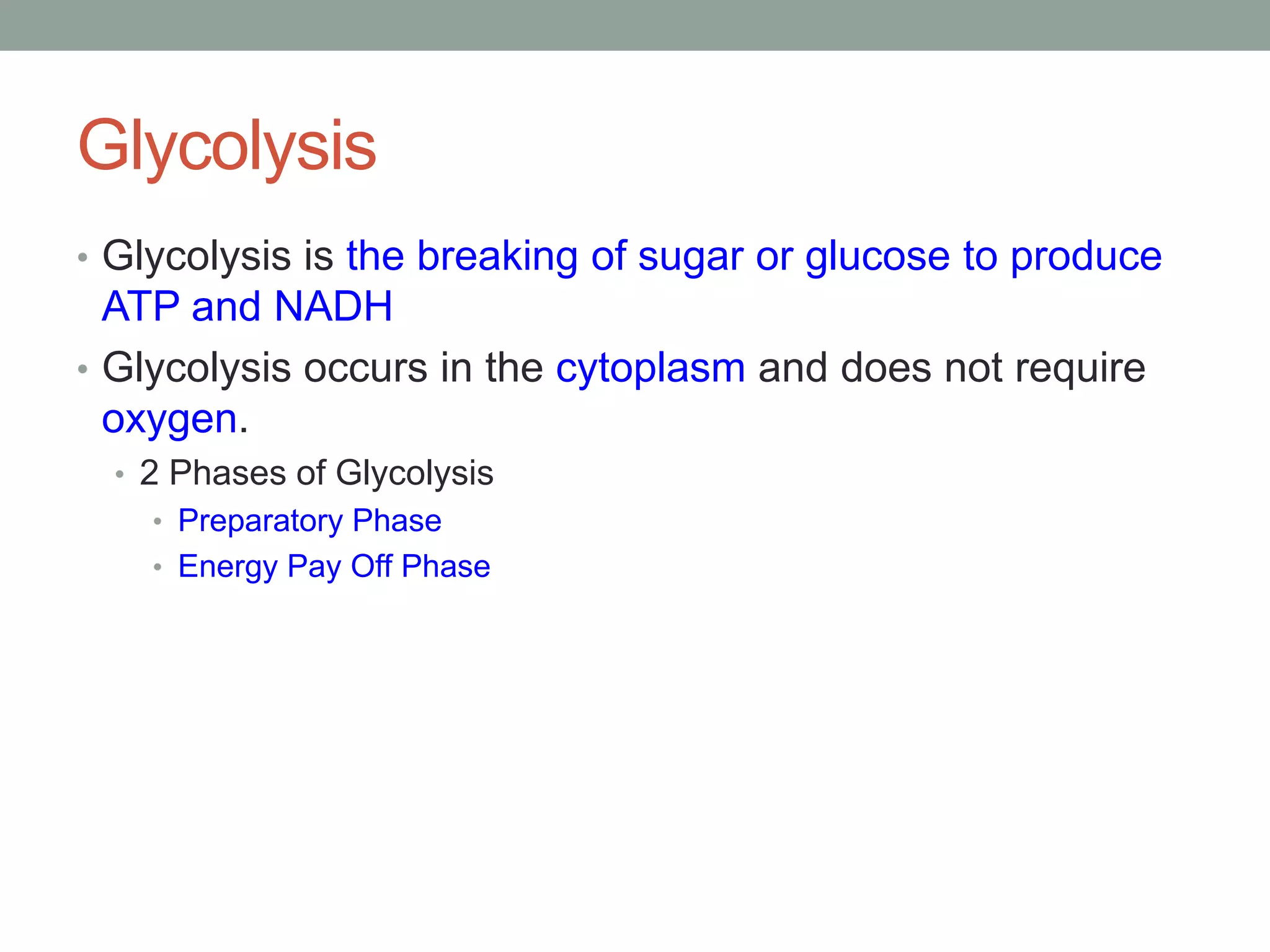 Cell respiration | PPTX
