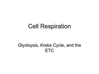 Cell Respiration
Glycloysis, Krebs Cycle, and the
ETC
 