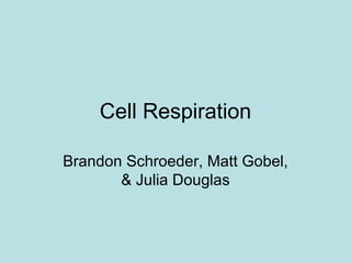 Cell Respiration Brandon Schroeder, Matt Gobel, & Julia Douglas 