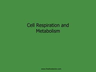 Cell Respiration and Metabolism www.freelivedoctor.com 