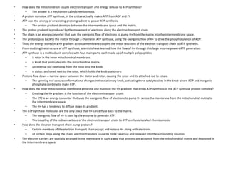 How does the mitochondrion couple electron transport and energy release to ATP synthesis?  The answer is a mechanism called chemiosmosis.  A protein complex, ATP synthase, in the cristae actually makes ATP from ADP and Pi.  ATP uses the energy of an existing proton gradient to power ATP synthesis.  The proton gradient develops between the intermembrane space and the matrix.  The proton gradient is produced by the movement of electrons along the electron transport chain.  The chain is an energy converter that uses the exergonic flow of electrons to pump H+ from the matrix into the intermembrane space.  The protons pass back to the matrix through a channel in ATP synthase, using the exergonic flow of H+ to drive the phosphorylation of ADP.  Thus, the energy stored in a H+ gradient across a membrane couples the redox reactions of the electron transport chain to ATP synthesis.  From studying the structure of ATP synthase, scientists have learned how the flow of H+ through this large enzyme powers ATP generation.  ATP synthase is a multisubunit complex with four main parts, each made up of multiple polypeptides:  A rotor in the inner mitochondrial membrane.  A knob that protrudes into the mitochondrial matrix.  An internal rod extending from the rotor into the knob.  A stator, anchored next to the rotor, which holds the knob stationary.  Protons flow down a narrow space between the stator and rotor, causing the rotor and its attached rod to rotate.  The spinning rod causes conformational changes in the stationary knob, activating three catalytic sites in the knob where ADP and inorganic phosphate combine to make ATP.  How does the inner mitochondrial membrane generate and maintain the H+ gradient that drives ATP synthesis in the ATP synthase protein complex?  Creating the H+ gradient is the function of the electron transport chain.  The ETC is an energy converter that uses the exergonic flow of electrons to pump H+ across the membrane from the mitochondrial matrix to the intermembrane space.  The H+ has a tendency to diffuse down its gradient.  The ATP synthase molecules are the only place that H+ can diffuse back to the matrix.  The exergonic flow of H+ is used by the enzyme to generate ATP.  This coupling of the redox reactions of the electron transport chain to ATP synthesis is called chemiosmosis.  How does the electron transport chain pump protons?  Certain members of the electron transport chain accept and release H+ along with electrons.  At certain steps along the chain, electron transfers cause H+ to be taken up and released into the surrounding solution.  The electron carriers are spatially arranged in the membrane in such a way that protons are accepted from the mitochondrial matrix and deposited in the intermembrane space.  