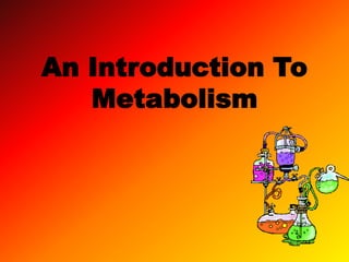 An Introduction To Metabolism 