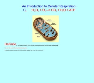 An Introduction to Cellular Respiration:
                                         C6    H12O6 + O2 --> CO2 + H2O + ATP




Definitio                 n: The 3-step process by which glucose molecules are broken down to release usable energy

Occurs in ALL cells, both eukaryotes and prokaryotes

Prokaryotes do entire process within their cytoplasm because they do not have mitochondria
 