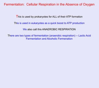 Fermentation: Cellular Respiration in the Absence of Oxygen


         This is used by prokaryotes for ALL of their ATP formation
       This is used in eukaryotes as a quick boost to ATP production

               We also call this ANAEROBIC RESPIRATION

  There are two types of fermentation (anaerobic respiration) -- Lactic Acid
                  Fermentation and Alcoholic Fermenation
 