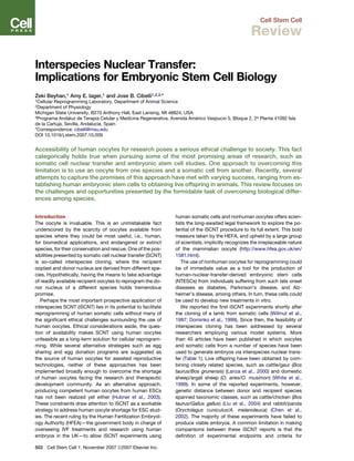 Cell Stem Cell
Review
Interspecies Nuclear Transfer:
Implications for Embryonic Stem Cell Biology
Zeki Beyhan,1 Amy E. Iager,1 and Jose B. Cibelli1,2,3,*
1Cellular Reprogramming Laboratory, Department of Animal Science
2Department of Physiology
Michigan State University, B270 Anthony Hall, East Lansing, MI 48824, USA
3Programa Andaluz de Terapia Celular y Medicina Regenerativa, Avenida Ame´ rico Vespucio 5, Bloque 2, 2a Planta 41092 Isla
de la Cartuja, Sevilla, Andalucı´a, Spain
*Correspondence: cibelli@msu.edu
DOI 10.1016/j.stem.2007.10.009
Accessibility of human oocytes for research poses a serious ethical challenge to society. This fact
categorically holds true when pursuing some of the most promising areas of research, such as
somatic cell nuclear transfer and embryonic stem cell studies. One approach to overcoming this
limitation is to use an oocyte from one species and a somatic cell from another. Recently, several
attempts to capture the promises of this approach have met with varying success, ranging from es-
tablishing human embryonic stem cells to obtaining live offspring in animals. This review focuses on
the challenges and opportunities presented by the formidable task of overcoming biological differ-
ences among species.
Introduction
The oocyte is invaluable. This is an unmistakable fact
underscored by the scarcity of oocytes available from
species where they could be most useful, i.e., human,
for biomedical applications, and endangered or extinct
species, for their conservation and rescue. One of the pos-
sibilities presented by somatic cell nuclear transfer (SCNT)
is so-called interspecies cloning, where the recipient
ooplast and donor nucleus are derived from different spe-
cies. Hypothetically, having the means to take advantage
of readily available recipient oocytes to reprogram the do-
nor nucleus of a different species holds tremendous
promise.
Perhaps the most important prospective application of
interspecies SCNT (iSCNT) lies in its potential to facilitate
reprogramming of human somatic cells without many of
the signiﬁcant ethical challenges surrounding the use of
human oocytes. Ethical considerations aside, the ques-
tion of availability makes SCNT using human oocytes
unfeasible as a long-term solution for cellular reprogram-
ming. While several alternative strategies such as egg
sharing and egg donation programs are suggested as
the source of human oocytes for assisted reproductive
technologies, neither of these approaches has been
implemented broadly enough to overcome the shortage
of human oocytes facing the research and therapeutic
development community. As an alternative approach,
producing competent human oocytes from human ESCs
has not been realized yet either (Hubner et al., 2003).
These constraints draw attention to iSCNT as a workable
strategy to address human oocyte shortage for ESC stud-
ies. The recent ruling by the Human Fertilization Embryol-
ogy Authority (HFEA)—the government body in charge of
overseeing IVF treatments and research using human
embryos in the UK—to allow iSCNT experiments using
human somatic cells and nonhuman oocytes offers scien-
tists the long-awaited legal framework to explore the po-
tential of the iSCNT procedure to its full extent. This bold
measure taken by the HEFA, and upheld by a large group
of scientists, implicitly recognizes the irreplaceable nature
of the mammalian oocyte (http://www.hfea.gov.uk/en/
1581.html).
The use of nonhuman oocytes for reprogramming could
be of immediate value as a tool for the production of
human-nuclear-transfer-derived embryonic stem cells
(NTESCs) from individuals suffering from such late onset
diseases as diabetes, Parkinson’s disease, and Alz-
heimer’s disease, among others. In turn, these cells could
be used to develop new treatments in vitro.
We reported the ﬁrst iSCNT experiments shortly after
the cloning of a lamb from somatic cells (Wilmut et al.,
1997; Dominko et al., 1999). Since then, the feasibility of
interspecies cloning has been addressed by several
researchers employing various model systems. More
than 40 articles have been published in which oocytes
and somatic cells from a number of species have been
used to generate embryos via interspecies nuclear trans-
fer (Table 1). Live offspring have been obtained by com-
bining closely related species, such as cattle/gaur (Bos
taurus/Bos grunensis) (Lanza et al., 2000) and domestic
sheep/argali sheep (O. aries/O. musimon) (White et al.,
1999). In some of the reported experiments, however,
genetic distance between donor and recipient species
spanned taxonomic classes, such as cattle/chicken (Bos
taurus/Gallus gallus) (Liu et al., 2004) and rabbit/panda
(Oryctolagus cuniculus/A. melanoleuca) (Chen et al.,
2002). The majority of these experiments have failed to
produce viable embryos. A common limitation in making
comparisons between these iSCNT reports is that the
deﬁnition of experimental endpoints and criteria for
502 Cell Stem Cell 1, November 2007 ª2007 Elsevier Inc.
 