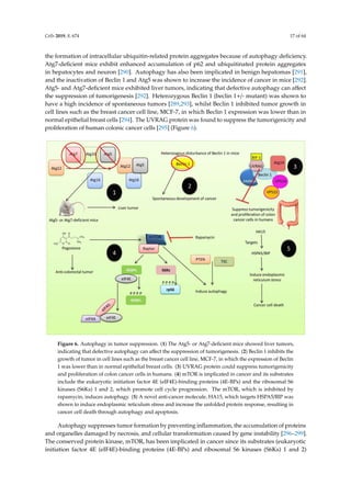 comprehensive review of autophagy and its role.pdf