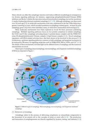 comprehensive review of autophagy and its role.pdf