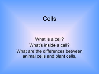 Cells What is a cell? What’s inside a cell? What are the differences between animal cells and plant cells. 