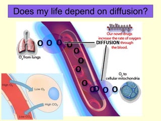 Does my life depend on diffusion? 