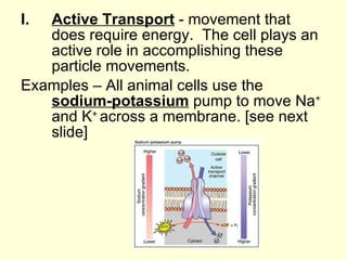 Active Transport  - movement that does require energy.  The cell plays an active role in accomplishing these particle movements. Examples – All animal cells use the  sodium-potassium  pump to move Na +  and K +  across a membrane. [see next slide] 