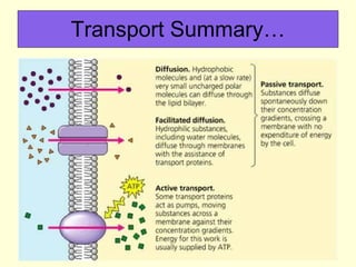 Transport Summary… 