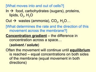 [What moves into and out of cells?] In     food, carbohydrates (sugars), proteins, lipids, O 2 , H 2 O Out     wastes (ammonia), CO 2 , H 2 O… [What determines the rate and the direction of this movement across the membrane?] Concentration gradient  – the difference in concentration across a space…  ( solvent / solute ) Often the movement will continue until  equilibrium  is reached – equal concentrations on both sides of the membrane (equal movement in both directions) 