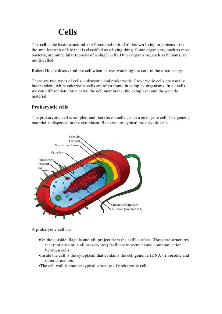 Cells Cells