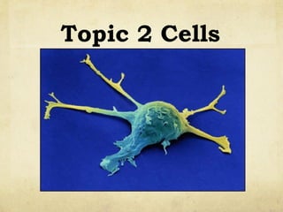 Topic 2 Cells 