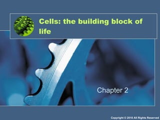 Cells: the building block of life Chapter 2 Copyright © 2010 All Rights Reserved 