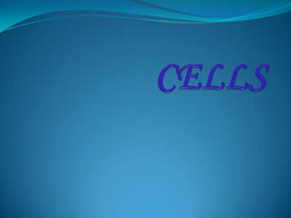 CELLS 