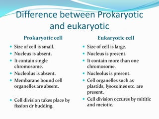 Difference between Prokaryotic and eukaryoticProkaryotic cellEukaryotic cellSize of cell is small.Nucleus is absent.It contain single chromosome.Nucleolus is absent.Membarane bound cell organelles are absent.Cell division takes place by fission dr budding.Size of cell is large.Nucleus is present.It contain more than one chromosome.Nucleolus is present.Cell organelles such as plastids, lysosomes etc. are present.Cell division occures by mititic and meiotic.