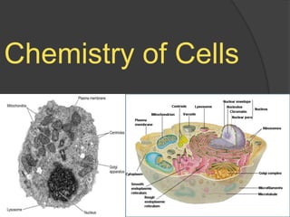 Chemistry of Cells 