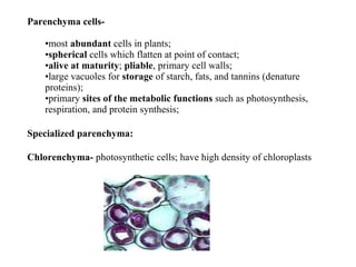 Parenchyma cells- most  abundant  cells in plants;  spherical  cells which flatten at point of contact;  alive at maturity ;  pliable , primary cell walls;  large vacuoles for  storage  of starch, fats, and tannins (denature proteins);  primary  sites of the metabolic functions  such as photosynthesis, respiration, and protein synthesis;   Specialized parenchyma: Chlorenchyma-  photosynthetic cells; have high density of chloroplasts                                       