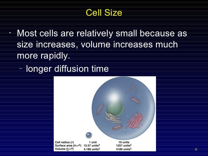 Cells