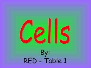 Cells By: RED - Table 1 