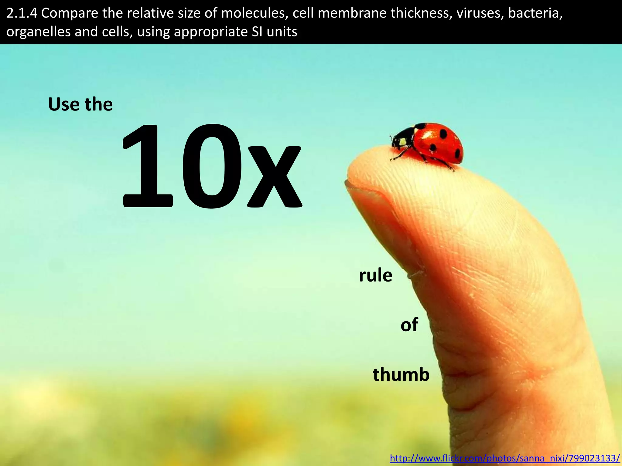 2.1.4 Compare the relative size of molecules, cell membrane thickness, viruses, bacteria,
organelles and cells, using appropriate SI units



      Use the



                 10x
                                                        rule

                                                               of

                                                          thumb


                                                             http://www.flickr.com/photos/sanna_nixi/799023133/
 