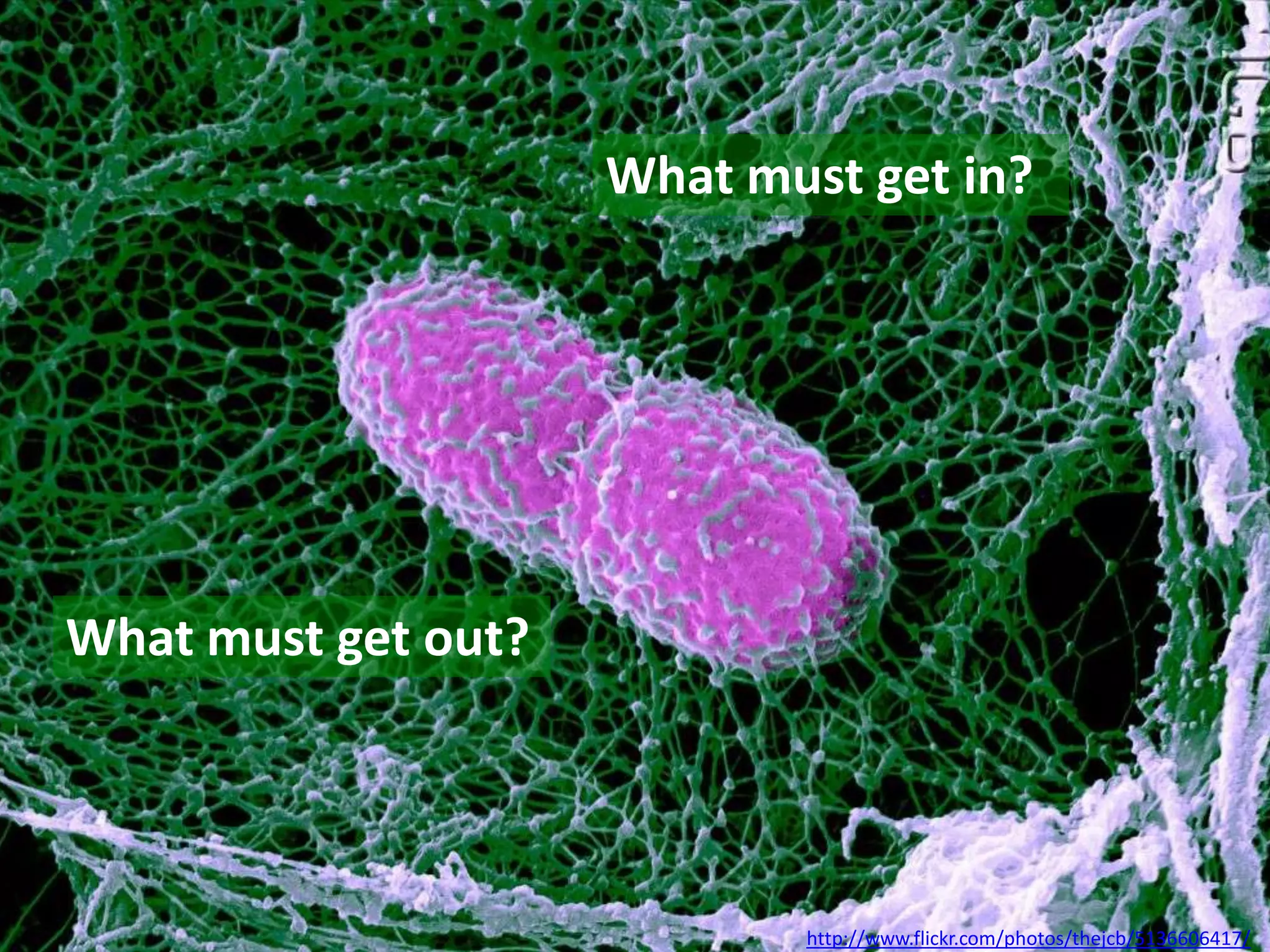 What must get in?




What must get out?




                            http://www.flickr.com/photos/thejcb/5136606417/
 