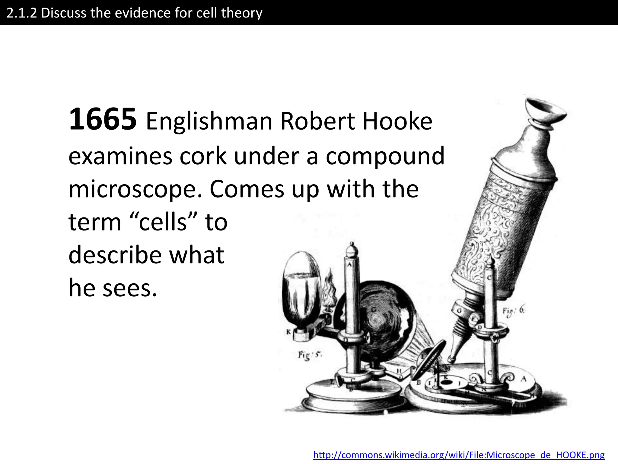2.1.2 Discuss the evidence for cell theory




          1665 Englishman Robert Hooke
          examines cork under a compound
          microscope. Comes up with the
          term “cells” to
          describe what
          he sees.




                                             http://commons.wikimedia.org/wiki/File:Microscope_de_HOOKE.png
 