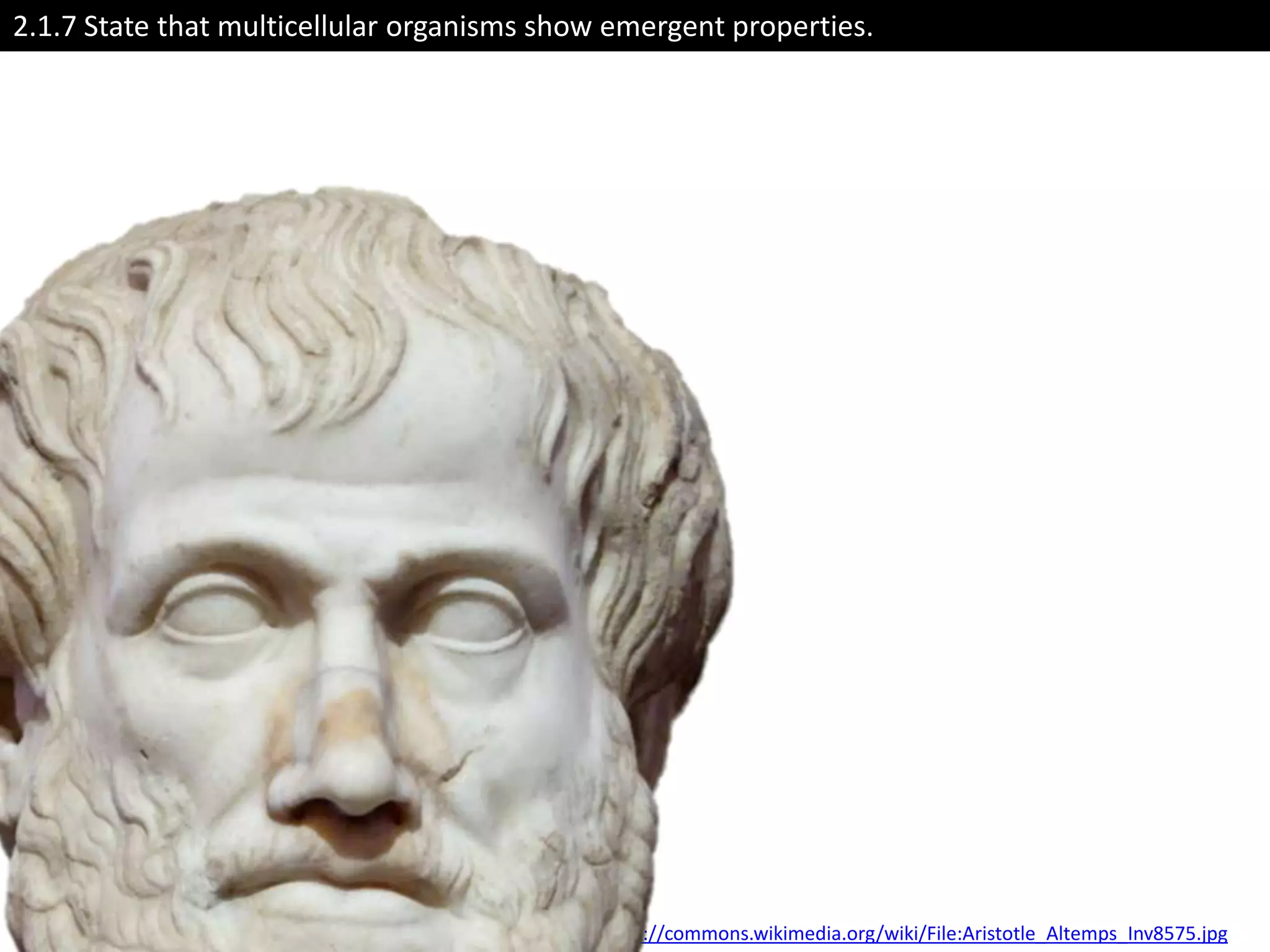 2.1.7 State that multicellular organisms show emergent properties.




                                             http://commons.wikimedia.org/wiki/File:Aristotle_Altemps_Inv8575.jpg
 