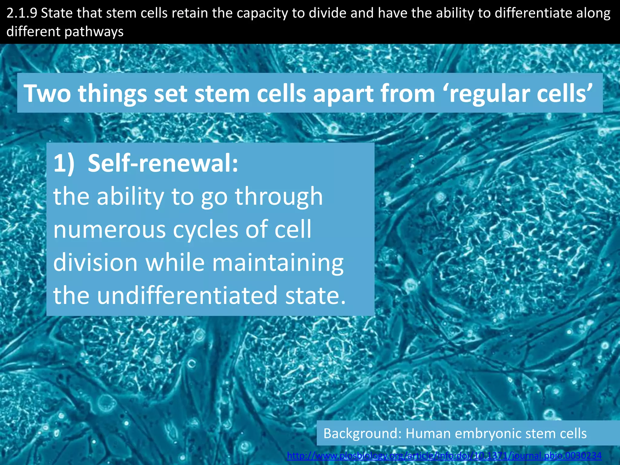 2.1.9 State that stem cells retain the capacity to divide and have the ability to differentiate along
different pathways



  Two things set stem cells apart from ‘regular cells’

       1) Self-renewal:
       the ability to go through
       numerous cycles of cell
       division while maintaining
       the undifferentiated state.



                                                      Background: Human embryonic stem cells
                                              http://www.plosbiology.org/article/info:doi/10.1371/journal.pbio.0030234
 