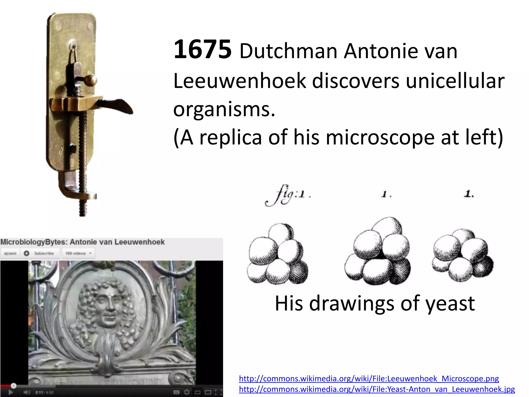1675 Dutchman Antonie van
Leeuwenhoek discovers unicellular
organisms.
(A replica of his microscope at left)




               His drawings of yeast


       http://commons.wikimedia.org/wiki/File:Leeuwenhoek_Microscope.png
       http://commons.wikimedia.org/wiki/File:Yeast-Anton_van_Leeuwenhoek.jpg
 