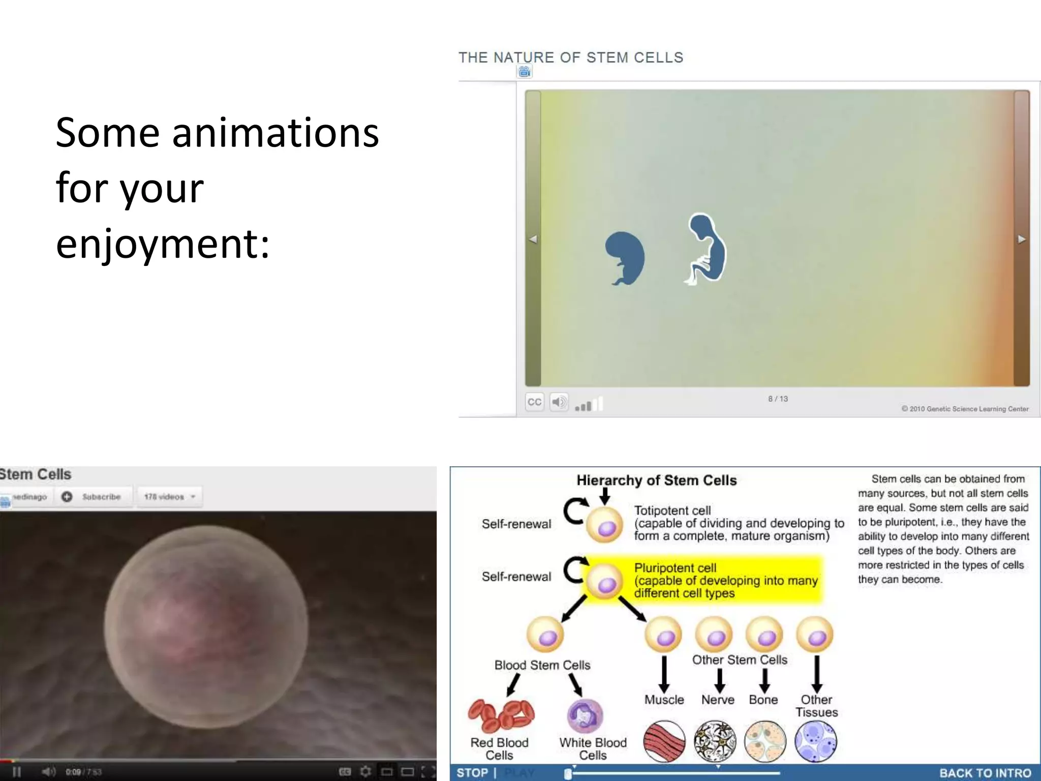 Some animations
for your
enjoyment:
 