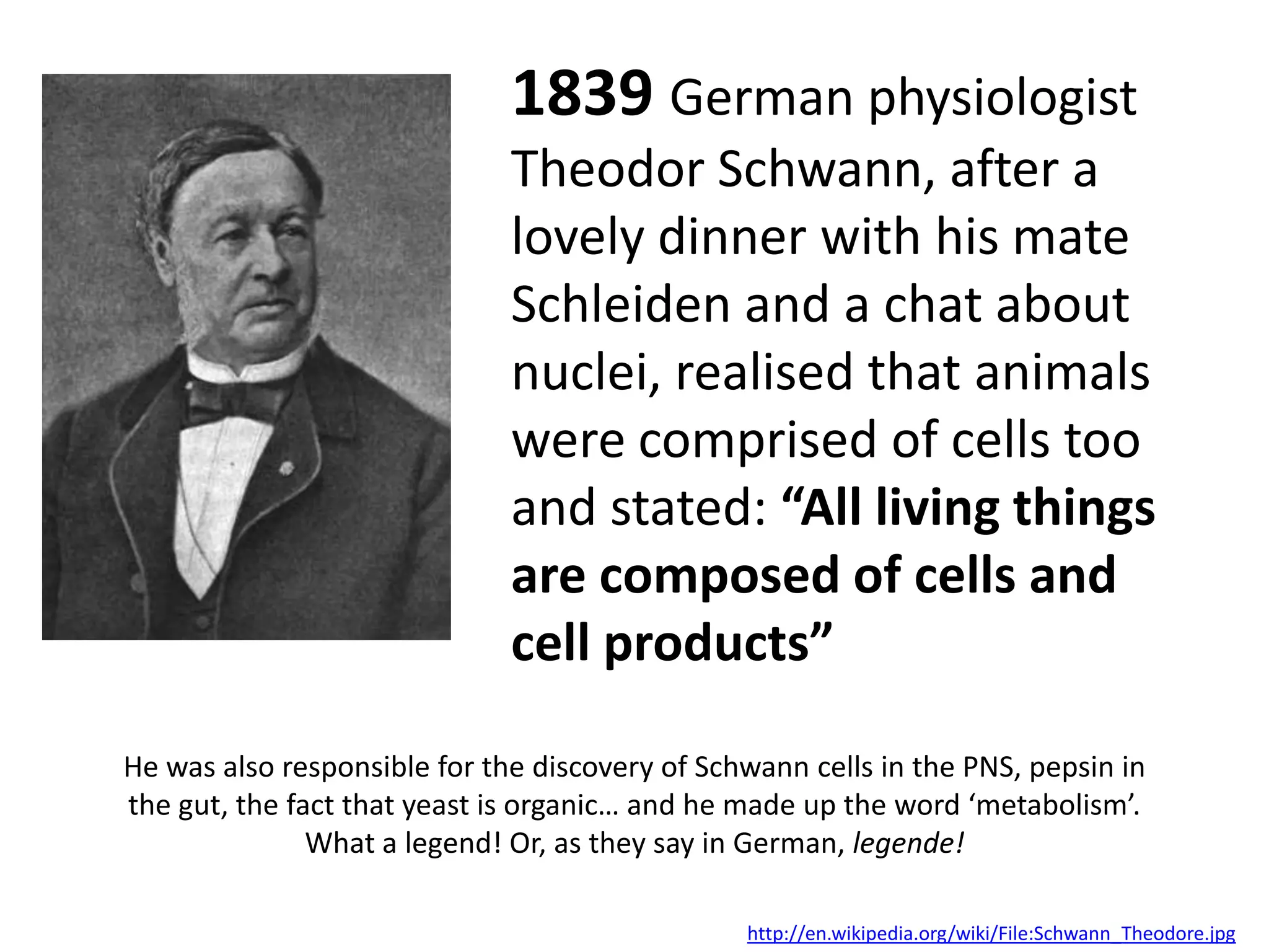 1839 German physiologist
                              Theodor Schwann, after a
                              lovely dinner with his mate
                              Schleiden and a chat about
                              nuclei, realised that animals
                              were comprised of cells too
                              and stated: “All living things
                              are composed of cells and
                              cell products”

He was also responsible for the discovery of Schwann cells in the PNS, pepsin in
the gut, the fact that yeast is organic… and he made up the word ‘metabolism’.
               What a legend! Or, as they say in German, legende!

                                                http://en.wikipedia.org/wiki/File:Schwann_Theodore.jpg
 