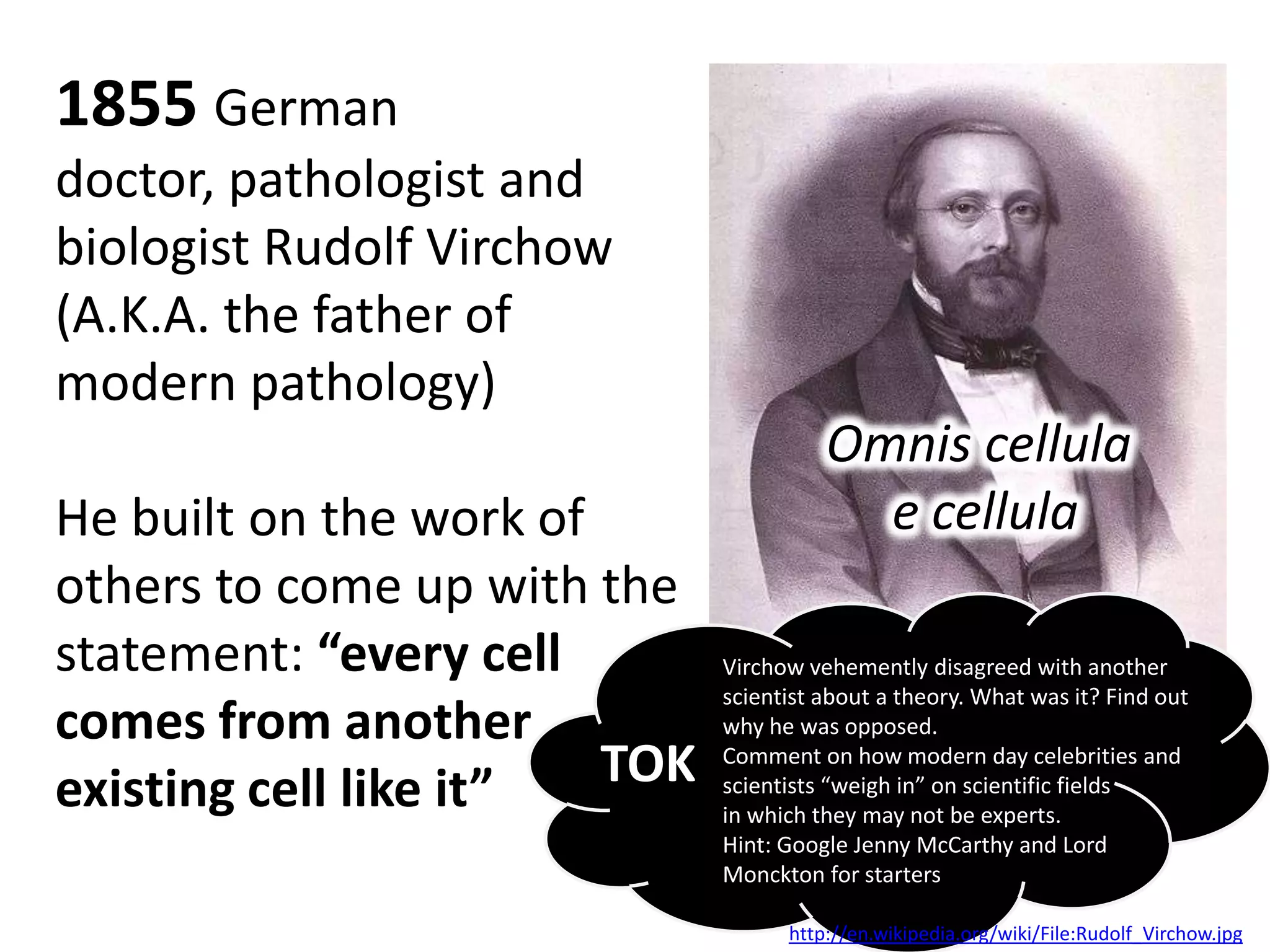 1855 German
doctor, pathologist and
biologist Rudolf Virchow
(A.K.A. the father of
modern pathology)
                                        Omnis cellula
He built on the work of                   e cellula
others to come up with the
statement: “every cell        Virchow vehemently disagreed with another
                              scientist about a theory. What was it? Find out
comes from another            why he was opposed.

existing cell like it”  TOK   Comment on how modern day celebrities and
                              scientists “weigh in” on scientific fields
                              in which they may not be experts.
                              Hint: Google Jenny McCarthy and Lord
                              Monckton for starters

                                    http://en.wikipedia.org/wiki/File:Rudolf_Virchow.jpg
 