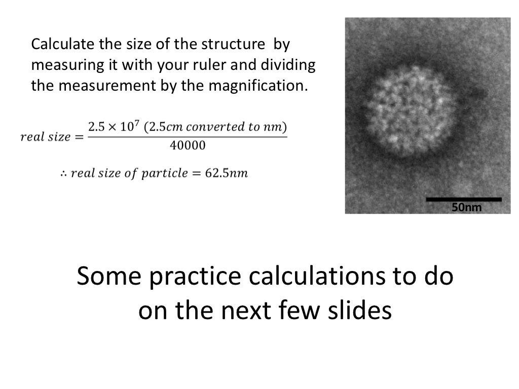 Calculate the size of the
