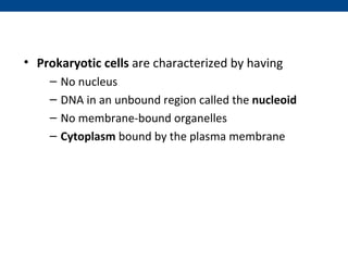 • Prokaryotic cells are characterized by having
    –   No nucleus
    –   DNA in an unbound region called the nucleoid
    –   No membrane-bound organelles
    –   Cytoplasm bound by the plasma membrane
 