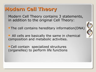 Modern Cell Theory
 Modern Cell Theory contains 3 statements,
 in addition to the original Cell Theory:

 The    cell contains hereditary information(DNA)

  All cells are basically the same in chemical
 composition and metabolic activities.

 Cellcontain specialized structures
 (organelles) to perform life functions
 