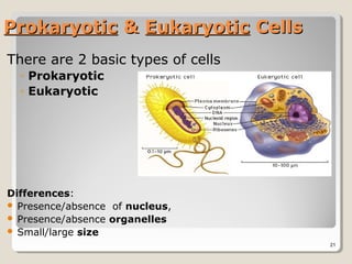 Prokaryotic & Eukaryotic Cells
There are 2 basic types of cells
  ◦ Prokaryotic
  ◦ Eukaryotic




Differences:
 Presence/absence of nucleus,
 Presence/absence organelles
 Small/large size
                                   21
 