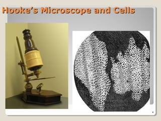 Hooke’s Microscope and Cells




                               4
 