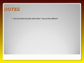 NOTES

  1. How are animal and plant cells similar? How are they different?
 