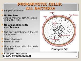 PROKARYOTIC CELLS:
 Simple (primitive)
                     ALL BACTERIA
 No Nucleus
(Genetic material (DNA) is lose
  inside the cell)

   No organelles with
    membranes

   The only membrane is the cell
    membrane

   Have ribosomes
   Have cell wall

   Most primitive cells: First cells
    on Earth

 Example: Bacteria
(E. coli, Streptococcus)                47
 