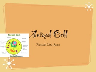 Animal Cell
  Fernanda Ortiz Juarez
 