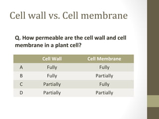 Cell wall vs. Cell membrane

 Q. How permeable are the cell wall and cell
 membrane in a plant cell?

           Cell Wall         Cell Membrane
  A          Fully               Fully
  B          Fully              Partially
  C        Partially             Fully
  D        Partially            Partially
 