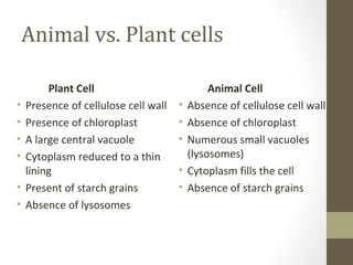 Animal vs. Plant cells

         Plant Cell                            Animal Cell
•   Presence of cellulose cell wall   •   Absence of cellulose cell wall
•   Presence of chloroplast           •   Absence of chloroplast
•   A large central vacuole           •   Numerous small vacuoles
•   Cytoplasm reduced to a thin           (lysosomes)
    lining                            •   Cytoplasm fills the cell
•   Present of starch grains          •   Absence of starch grains
•   Absence of lysosomes
 