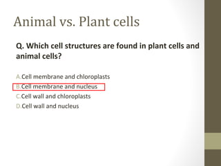 Animal vs. Plant cells
Q. Which cell structures are found in plant cells and
animal cells?

A.Cell membrane and chloroplasts
B.Cell membrane and nucleus
C.Cell wall and chloroplasts
D.Cell wall and nucleus
 
