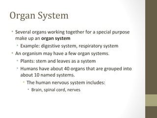 Organ System
• Several organs working together for a special purpose
  make up an organ system
  • Example: digestive system, respiratory system
• An organism may have a few organ systems.
  • Plants: stem and leaves as a system
  • Humans have about 40 organs that are grouped into
    about 10 named systems.
     • The human nervous system includes:
       • Brain, spinal cord, nerves
 