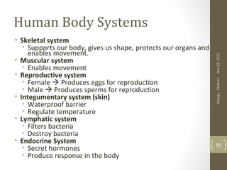 Human Body Systems
• Skeletal system
   • Supports our body, gives us shape, protects our organs and
     enables movement.




                                                                  Nov 12, 2012
• Muscular system
   • Enables movement
• Reproductive system
   • Female  Produces eggs for reproduction




                                                                  Biology - Matters
   • Male  Produces sperms for reproduction
• Integumentary system (skin)
   • Waterproof barrier
   • Regulate temperature
• Lymphatic system
   • Filters bacteria
   • Destroy bacteria
• Endocrine System
                                                                  35
   • Secret hormones
   • Produce response in the body
 