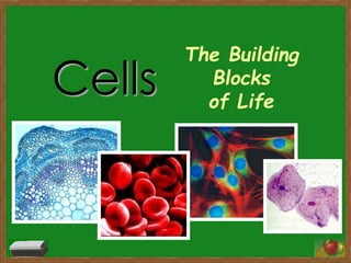 Cells 
The Building 
Blocks 
of Life 
 